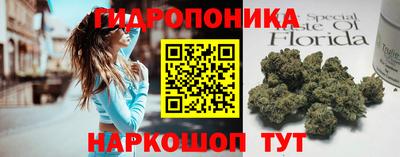 индика Наро-Фоминск